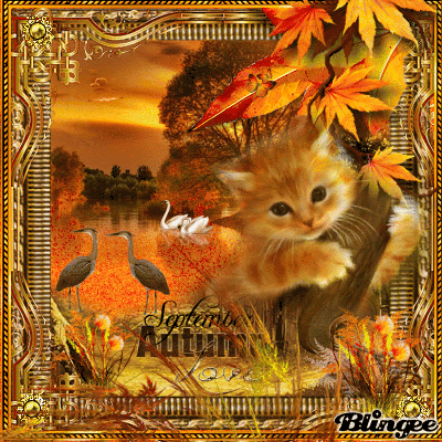 10 New Happy Autumn / Fall Quotes And Gifs - picture 5