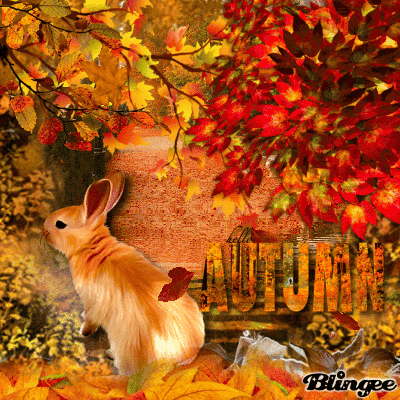 10 New Happy Autumn / Fall Quotes And Gifs - picture 8