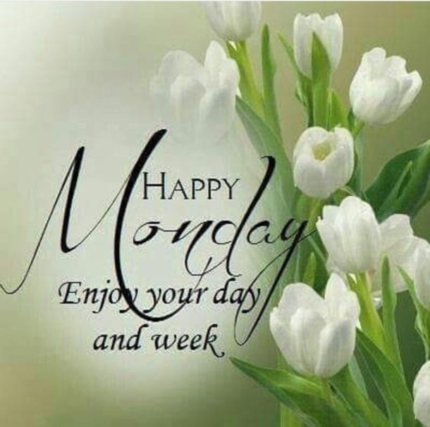10 New Happy Monday Images - picture 11