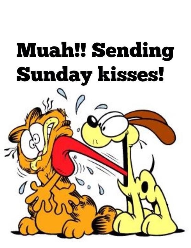 10 New Happy Sunday Quotes For Everyone To Love! - picture 2