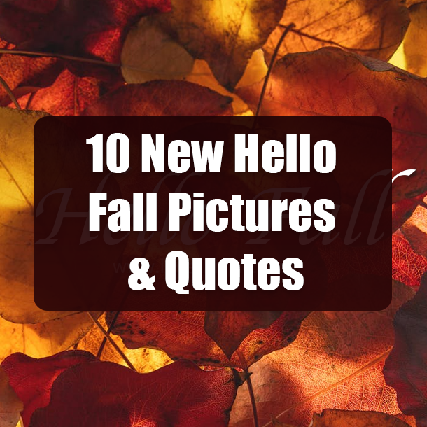 10 New Hello Fall Pictures & Quotes