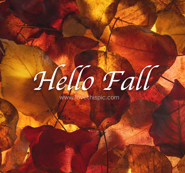 10 New Hello Fall Pictures & Quotes - picture 10