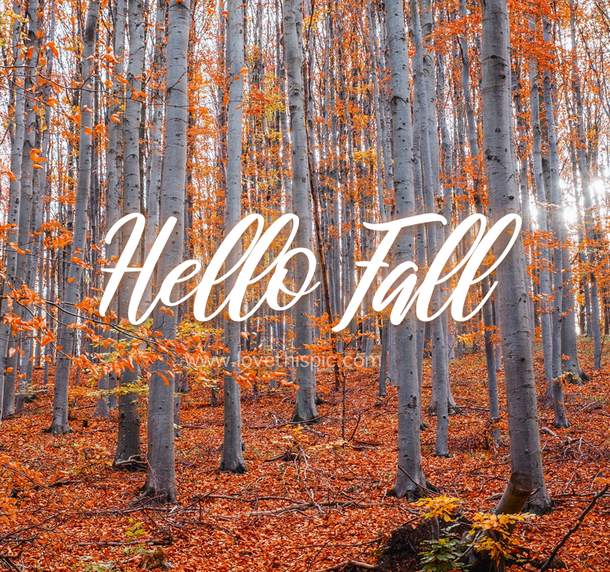 10 New Hello Fall Pictures & Quotes - picture 5