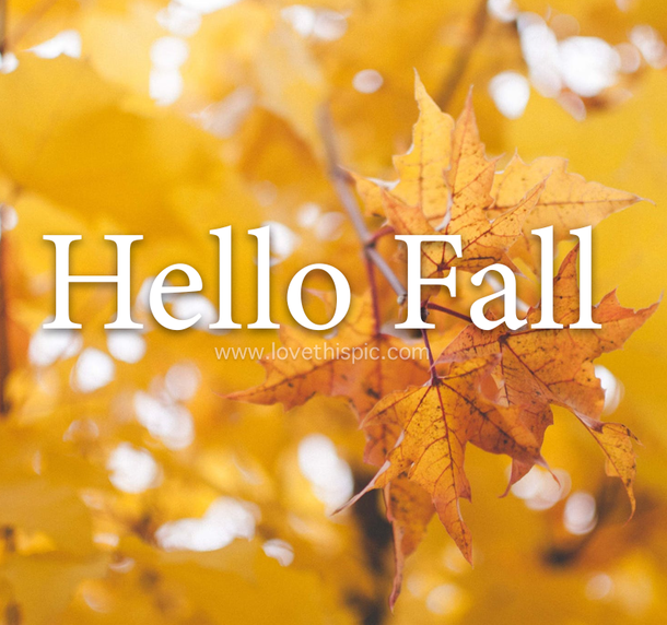 10 New Hello Fall Pictures & Quotes - picture 8