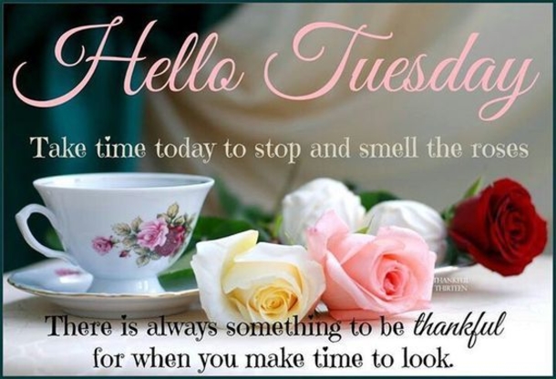 10 New Hello Tuesday Quotes And Sayings - picture 2