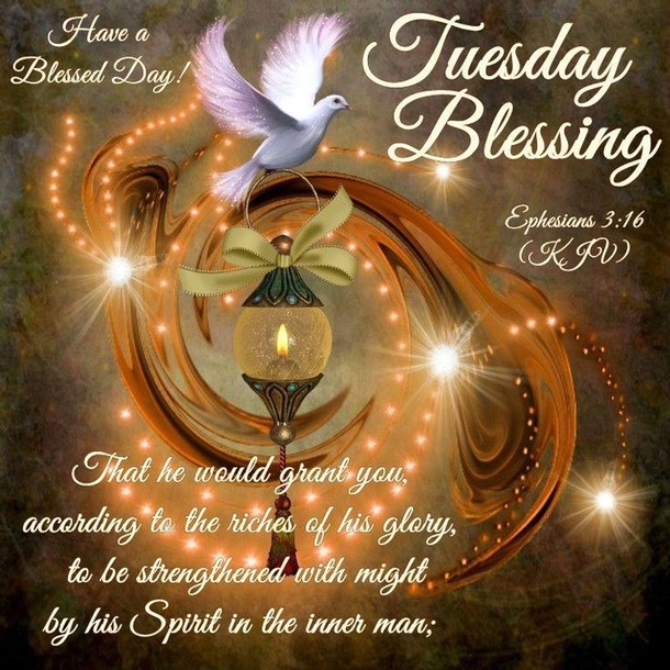 10 New Hello Tuesday Quotes And Sayings - picture 5
