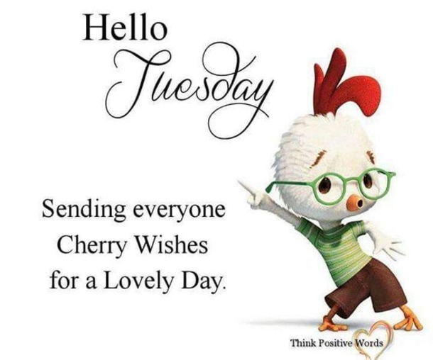 10 New Hello Tuesday Quotes And Sayings - picture 6