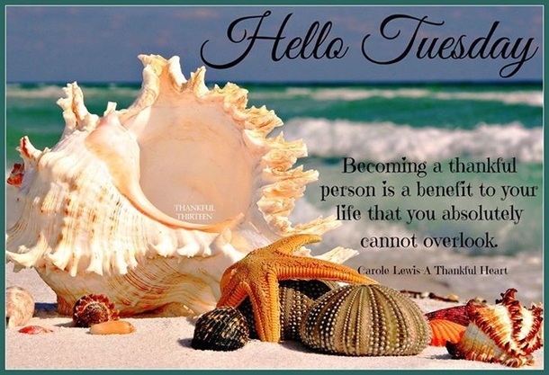 10 New Hello Tuesday Quotes And Sayings - picture 8