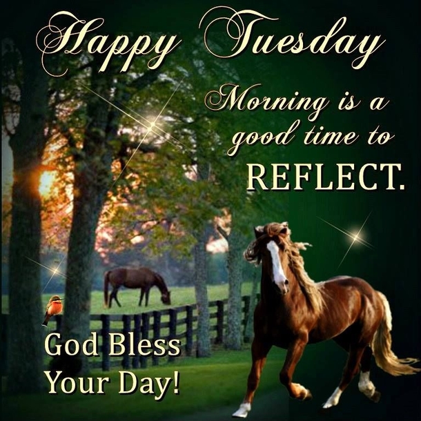 10 New Hello Tuesday Quotes And Sayings - picture 9