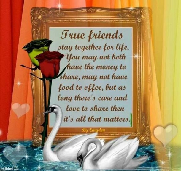 10 New Inspiring Best Friend Quotes To Share - picture 6