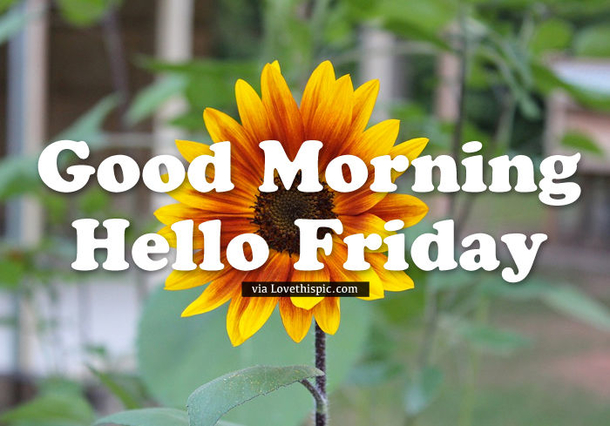 10 New Inspiring Good Morning Blessed Friday Quotes - picture 5