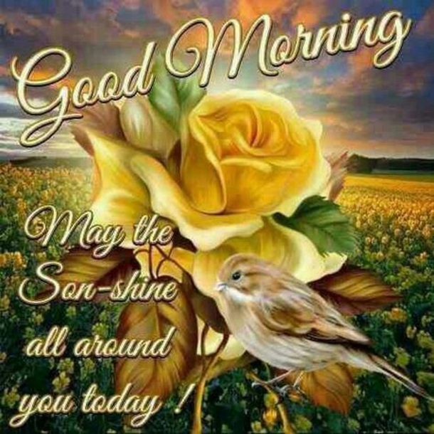 10 New Inspiring Good Morning Quotes - picture 11