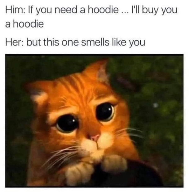 10 New Love & Relationship Memes - picture 9