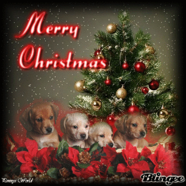 10 New Merry Christmas Quotes, Sayings & Gifs For 2021 - picture 9