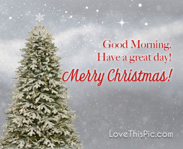 10 New Merry Christmas Quotes & Images For The Holiday Season - picture 3