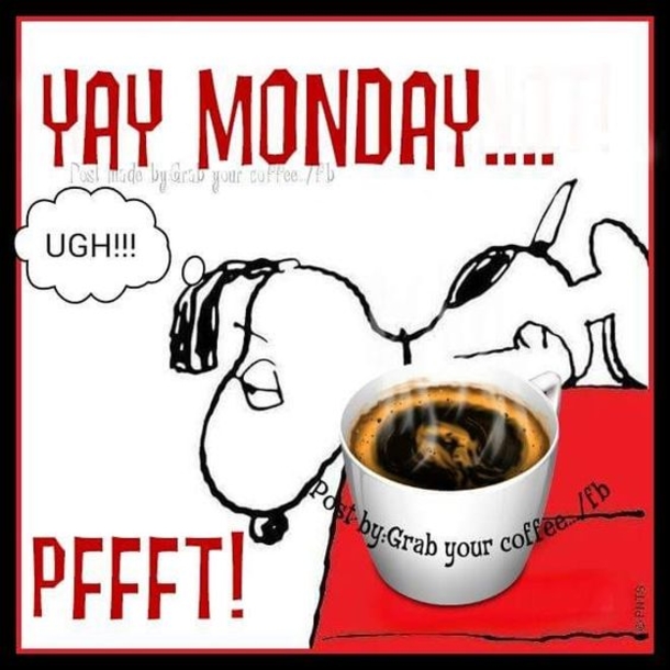 10 New Monday Quotes To Make Your Day Special - picture 11