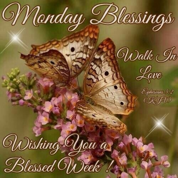 10 New Monday Quotes With Beautiful Images - picture 9
