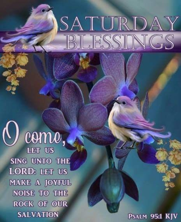 10 New Saturday Quotes, Sayings And Images - picture 11