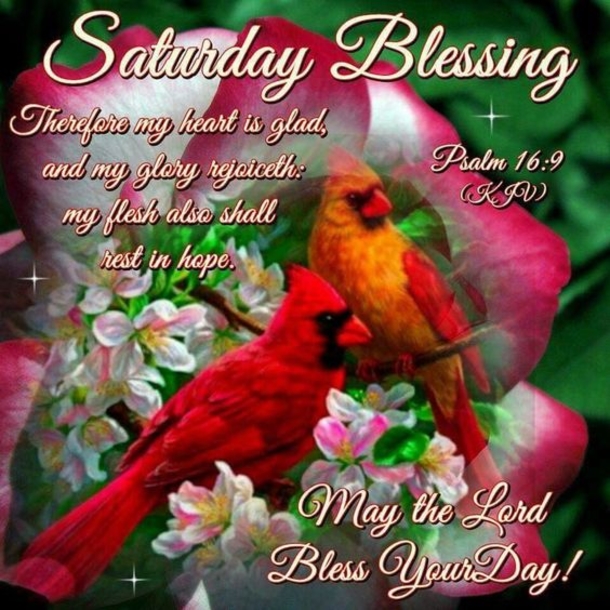 10 New Saturday Quotes, Sayings And Images - picture 9