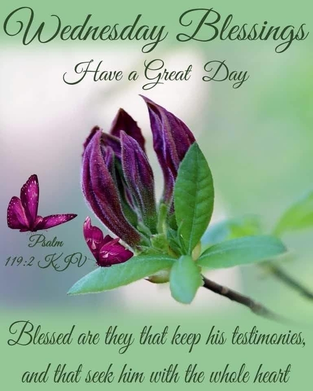 10 New Wednesday Quotes & Images To Help Bless The Middle Of Your Week! - picture 4
