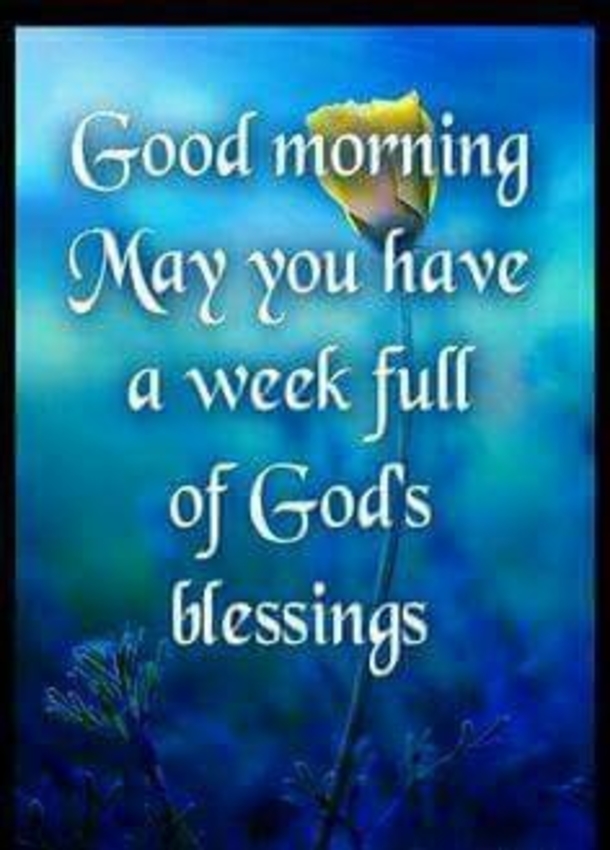 10 New Week Quotes And Sayings To Start Your Week Right - picture 3