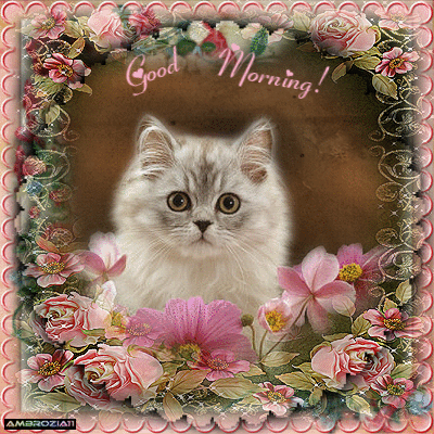 10 New & Best Good Morning Quotes For Today - picture 2