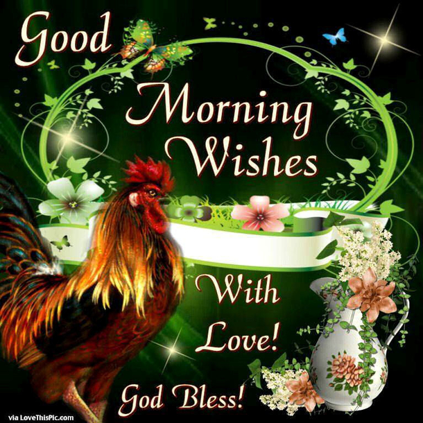 10 New & Blessed Good Morning Quotes To Make The Day Perfect - picture 11