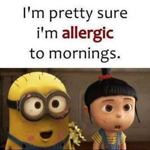 10 New & Funny Minion Quotes To Share With Friends And Family - picture 10