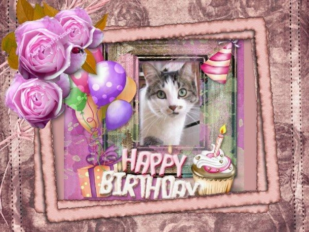 10 New & Special Happy Birthday Quotes, Images And Sayings - picture 10