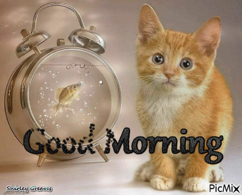 10 Newly Animated Good Morning Quotes - picture 9