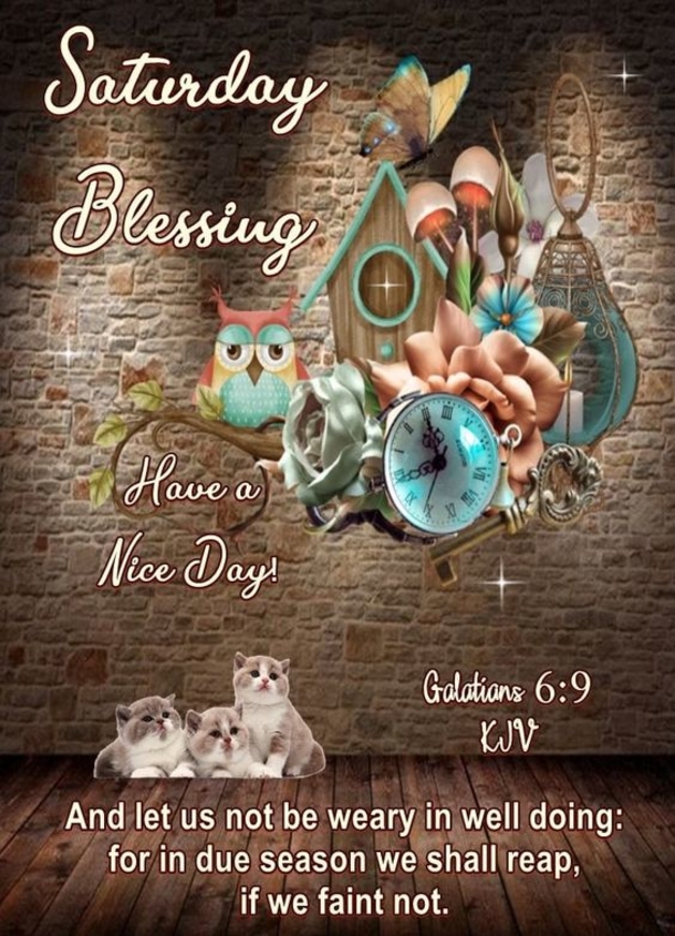 10 Newly Blessed Saturday Picture Quotes - picture 11