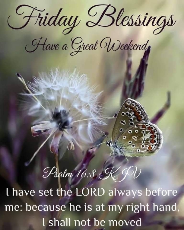 10+ Newly Inspiring Friday Blessings And Quotes - picture 8