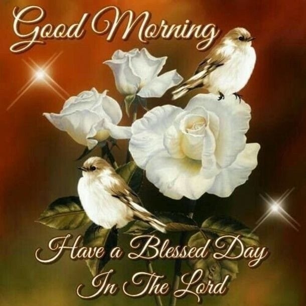 10 Newly Inspiring Good Morning & Sayings - picture 9