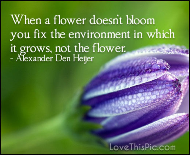 10 Newly Inspiring Quotes On Life That Are Wise & Deep - picture 9