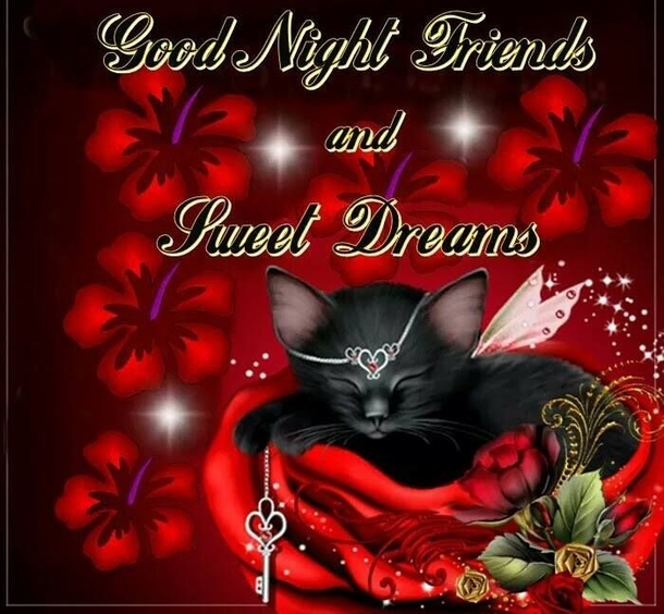10 Night / Evening Quotes That Will Bless Your Soul - picture 5