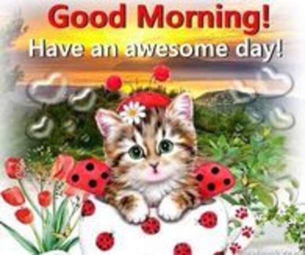 10 Of The Best Good Morning Gifs And Animations - picture 7