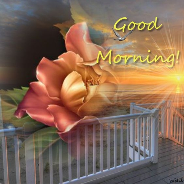 10 Of The Best Good Morning Quotes And Sayings - picture 4