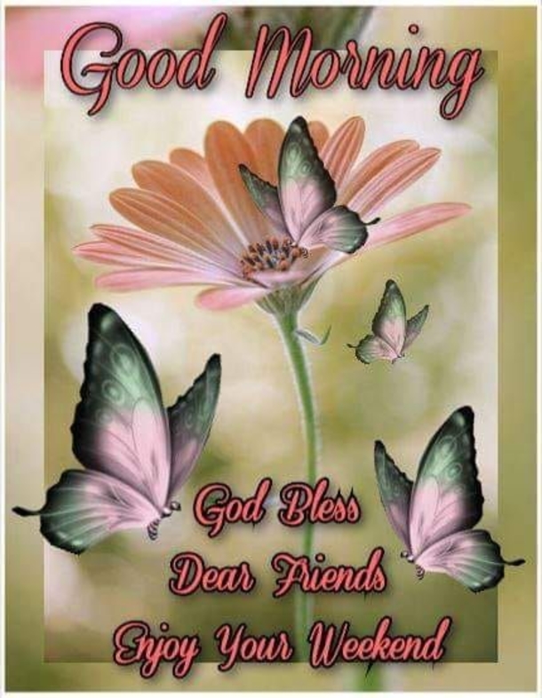 10 Of The Best Good Morning Quotes And Sayings - picture 7