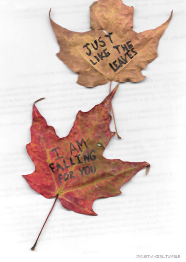 10 Of The Best Love Quotes On The Internet - picture 9