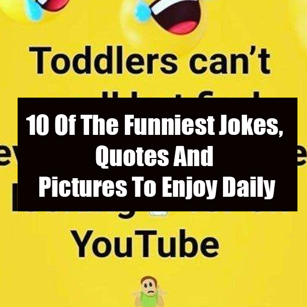 10 Of The Funniest Jokes, Quotes And Pictures To Enjoy Daily