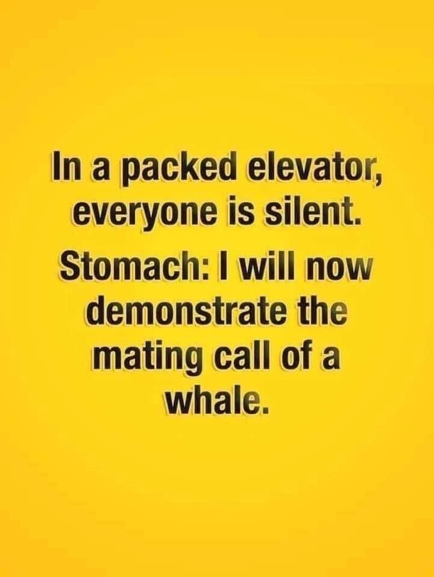 10 Of The Funniest Jokes, Quotes And Pictures To Enjoy Daily - picture 8