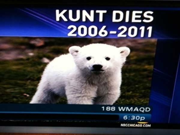 10 Of The Funniest News Typos Ever - picture 8