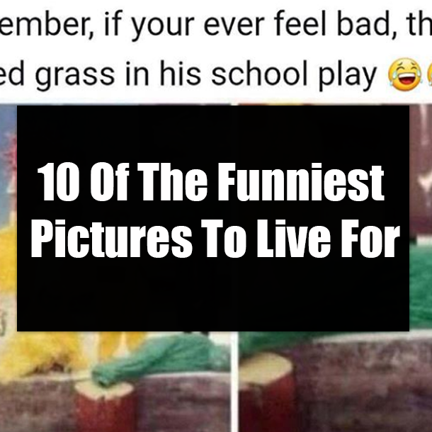 10 Of The Funniest Pictures To Live For