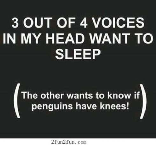 10 Of The Funniest Quotes Ever! - picture 10