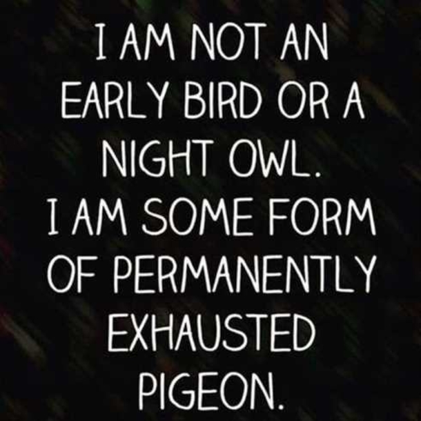 10 Of The Funniest Quotes Ever! - picture 5