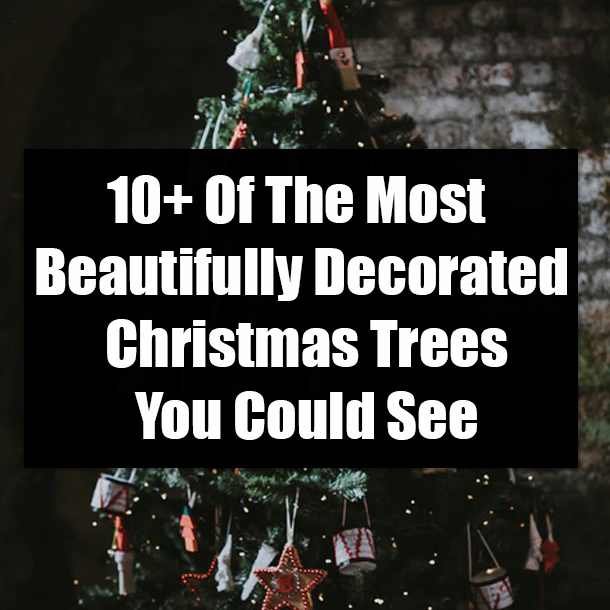 10+ Of The Most Beautifully Decorated Christmas Trees You Could See