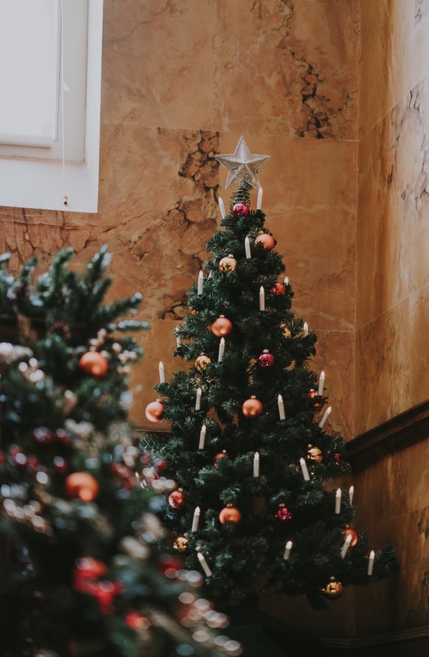 10+ Of The Most Beautifully Decorated Christmas Trees You Could See - picture 14