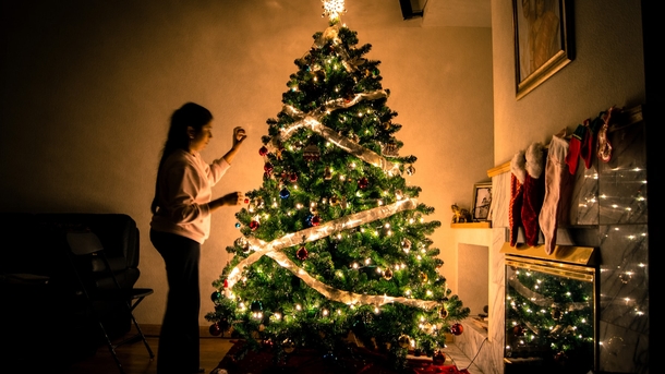 10+ Of The Most Beautifully Decorated Christmas Trees You Could See - picture 4