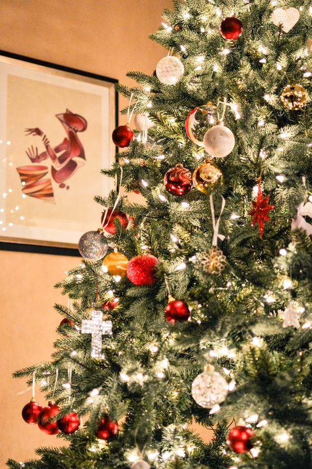 10+ Of The Most Beautifully Decorated Christmas Trees You Could See - picture 5