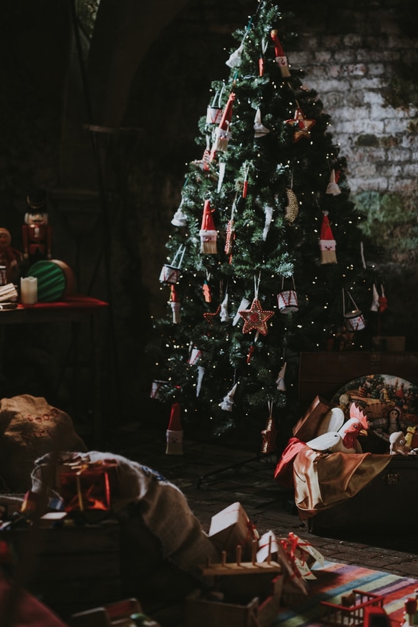 10+ Of The Most Beautifully Decorated Christmas Trees You Could See - picture 7